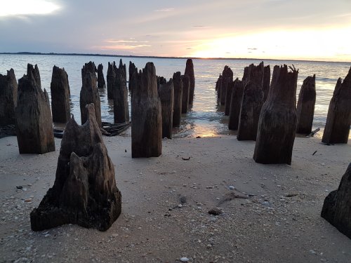 Ancien ponton de l'époque du bagne sculpté par la mer